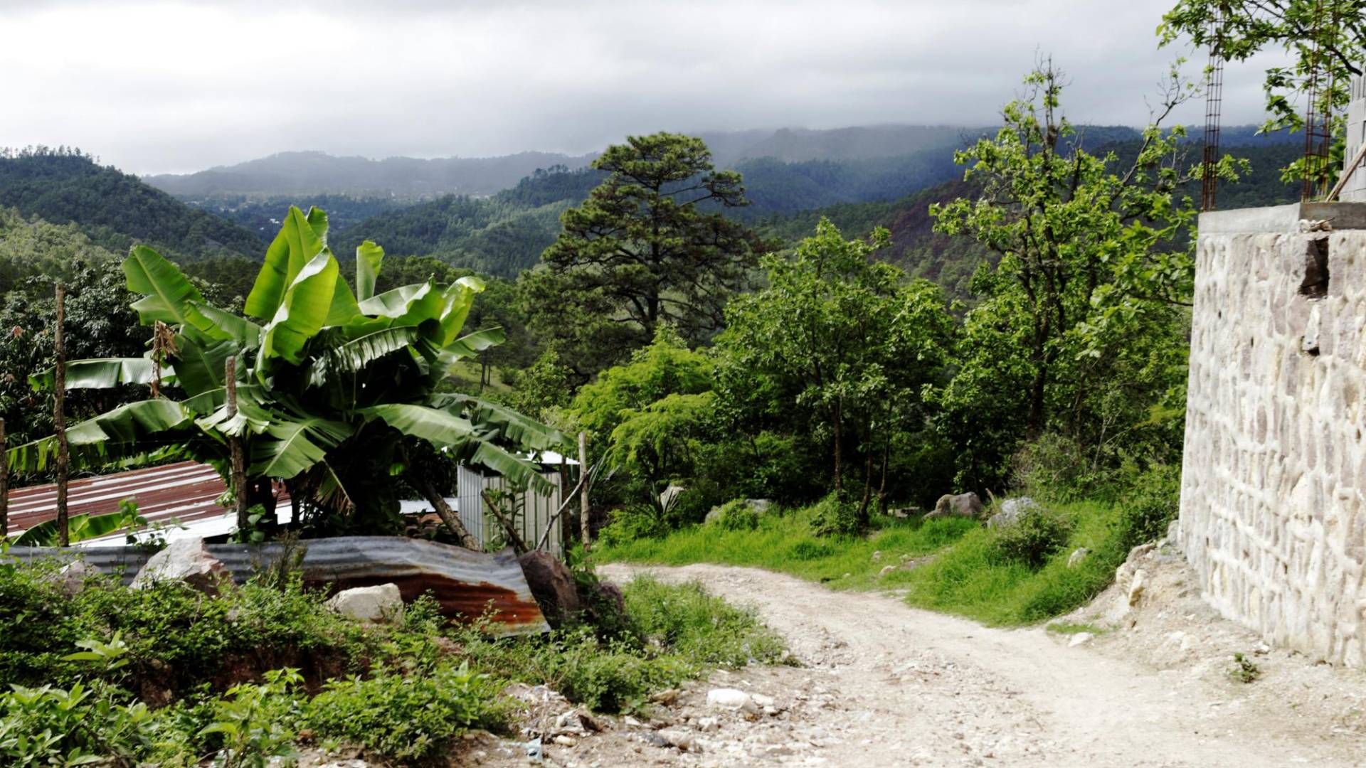$!Esta calle está después de la casa y es por donde presuntamente llevaron a los cinco jóvenes con dirección a una montaña en el municipio de Tatumbla.