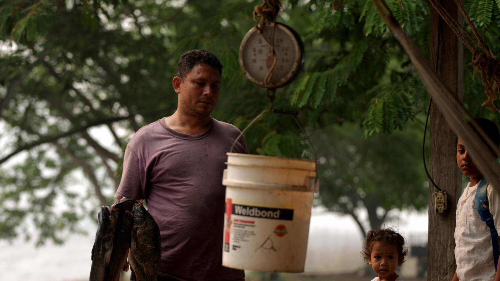 $!Antes, en un buen día, cada uno de los 700 pescadores de “El Cajón” podían sacar hasta 100 libras de pescado. Desde que los patos se incrementaron apenas pueden llegar a las cinco libras como máximo