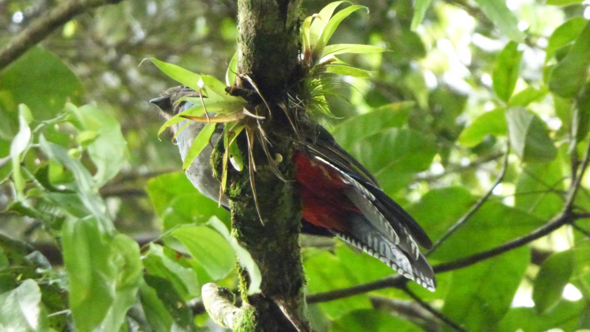$!La reserva del Jilguero además de ser una zona productora de agua posee una exquisita flora y fauna, estudiada por los biólogos.