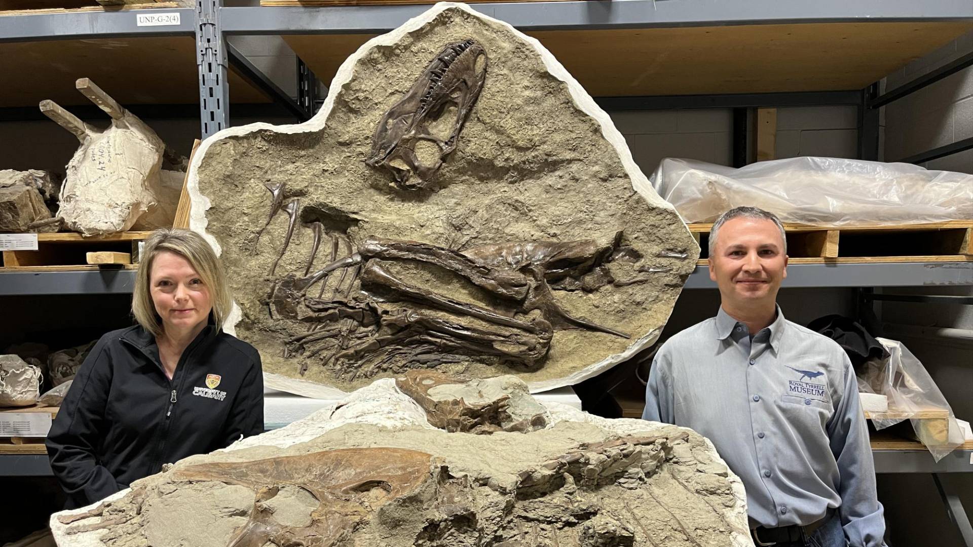 $!Darla Zelenitsky, paleontóloga de la Universidad de Calgary (izq.), y François Therrien, curador del Museo Real Tyrrell, con un ejemplar de Gorgosaurus joven.