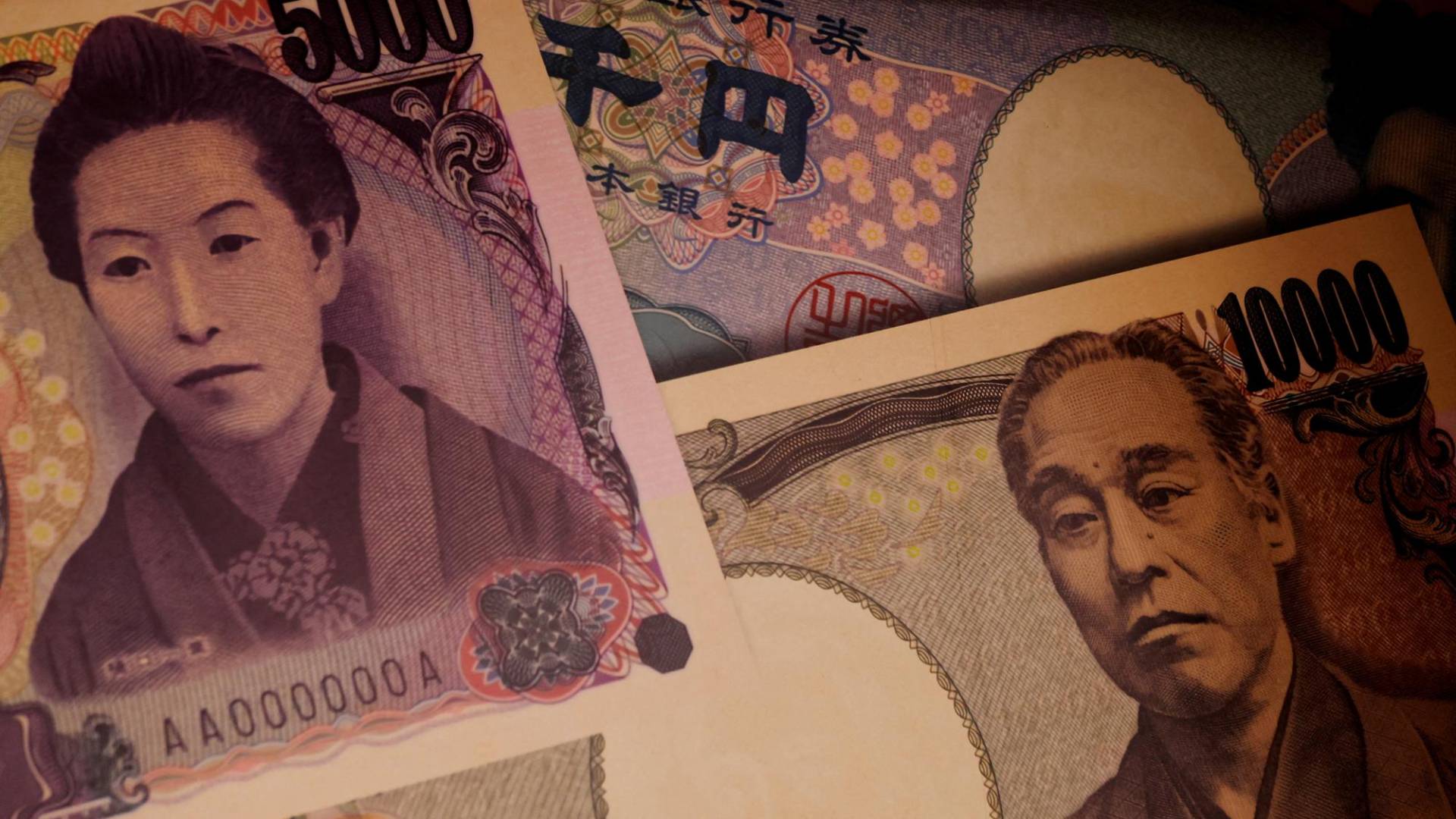 $!Antes de que Japón comenzara a comprar la planta argeli a cambio de divisas, su uso principal era para leña o cercas.