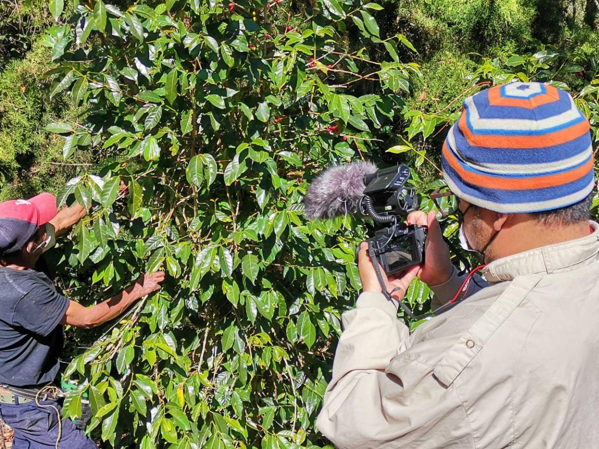 Cineasta hondureño Juan Elvir estrena el documental “Café de Palo”