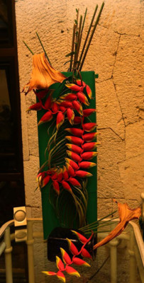 Exposición Jardineras sin Límites