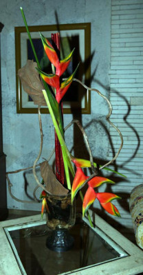 Exposición Jardineras sin Límites