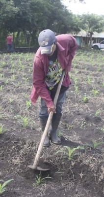 Productores de Jamastrán exigen que inicie proyecto de riego por goteo