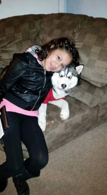 Día Mundial del Perro