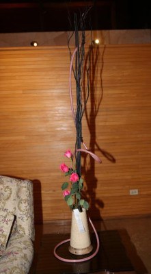 Exposición Jardineras sin Límites