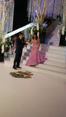 Graduandos en la Prom 2017 de DelCampo International School desfilaron con elegancia