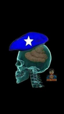 Tardanza de resultados electorales en Honduras genera graciosos memes