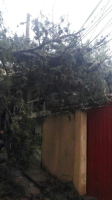 Empresa de Energía Honduras realiza trabajos de mantenimiento por fuertes lluvias