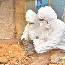 ¿Qué ha sido del “Caníbal de Atizapán”, el mayor asesino en la historia de México?