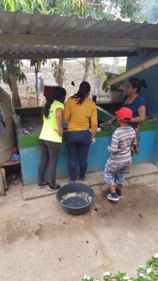 Cedros busca castigar como delito el no chapear solares