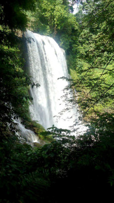 EL HERALDO te premia en el Día de la Tierra