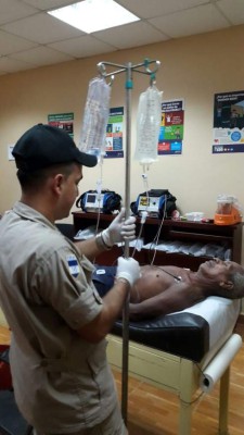 Abejas atacan a septuagenario en Choloma