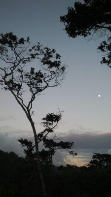 Turismo rural y de aventura bajo el cobijo de Celaque