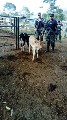 Operación Centurión II: Incautan y aseguran más bienes ligados al narcotráfico en Honduras