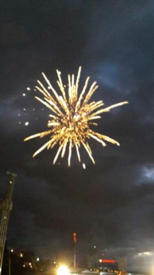 Honduras rompe récord Guinness con árbol