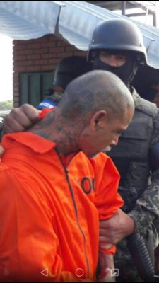 Estos son los 15 nuevos inquilinos de El Pozo en Ilama, Santa Bárbara