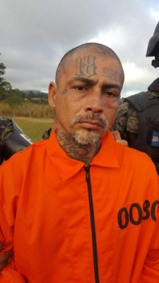 Estos son los 15 nuevos inquilinos de El Pozo en Ilama, Santa Bárbara