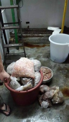 Operación Tifón III: Comida vencida y prácticas insalubres detectan en restaurantes en Tegucigalpa