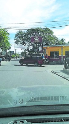 Camaroneras del país perdieron 16 millones de libras por robo