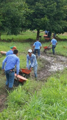 Agria disputa por poder de la rectoría en la UNA