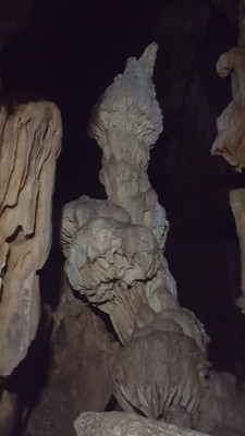 En el sendero de las calaveras luminosas