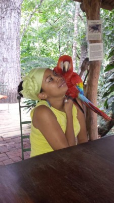 Ginger, el vuelo de una guacamaya