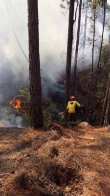 Continúan los incendios, esta vez en la aldea Zarabanda de Santa Lucía