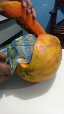 Detienen a mujer que intentó ingresar a la cárcel de La Ceiba un celular escondido en una papaya