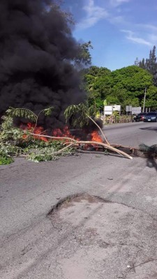 Lo que sabemos del rapto de líderes garífunas en Triunfo de la Cruz