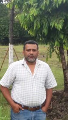 En la capital se necesita reforestar unas 25 mil hectáreas de bosque