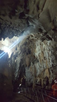 En el sendero de las calaveras luminosas