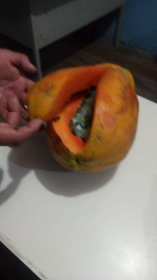 Detienen a mujer que intentó ingresar a la cárcel de La Ceiba un celular escondido en una papaya