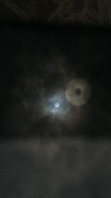 Así vivieron el eclipse solar los hondureños en Estados Unidos y el resto del mundo