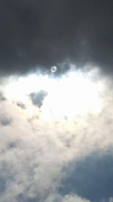 Así vivieron el eclipse solar los hondureños en Estados Unidos y el resto del mundo