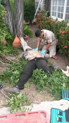 Muere obrero al caerse de un árbol en Comayagua
