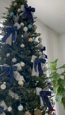 Temáticos, elegantes y coloridos: Así son los árboles de Navidad de los famosos