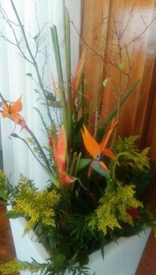 Roatán se prepara para inaugurar su primer centro de convenciones&nbsp;&nbsp;