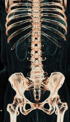 El cuerpo humano por dentro como nunca lo has visto