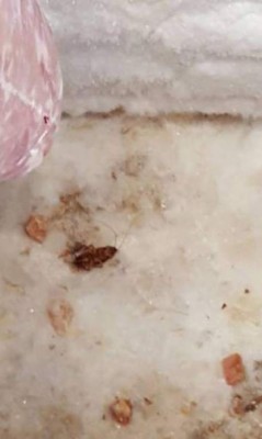 Restaurantes chinos en Honduras reportan pérdidas de 80 por ciento tras denuncia del Ministerio Público