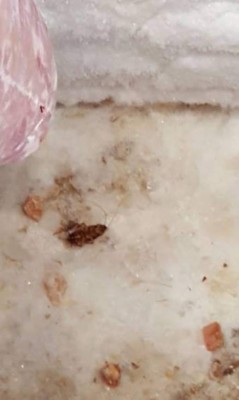 Operación Tifón III: Comida vencida y prácticas insalubres detectan en restaurantes en Tegucigalpa