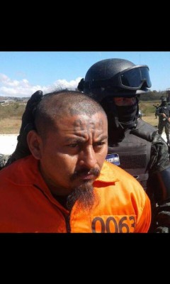 Estos son los 15 nuevos inquilinos de El Pozo en Ilama, Santa Bárbara