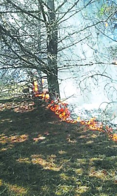 Dos incendios forestales consumen zona boscosa de Uyuca y La Trinidad