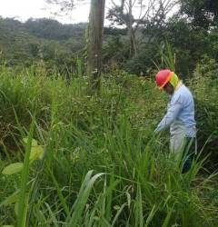 El trabajo que realizan las cuadrillas de EEH es preventivo contra los incendios forestales al acercarse el verano.