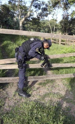 Honduras: Tras la cacería de coyotes