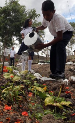 Escuela José Cecilio del Valle, referente de educación práctica
