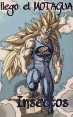 Memes del clásico Olimpia-Motagua