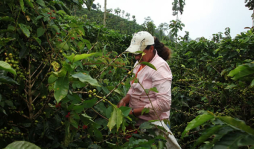 A pagar L 97.92 por la gasolina superior en la capital de Honduras