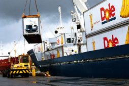 Allied Global ampliará servicios en Honduras